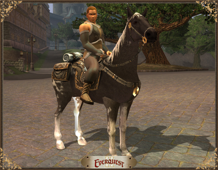 Traveler's Pack Horse